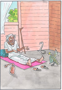 Illustration du conte traditionnel francophone, un malheur ne vient jamais seul – conte du Sénégal Illustré par Malang Sène